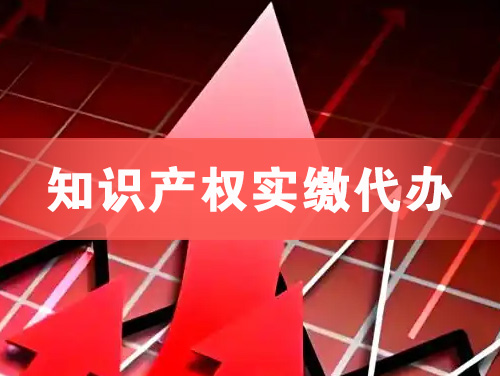 衡水知识产权实缴资本代办